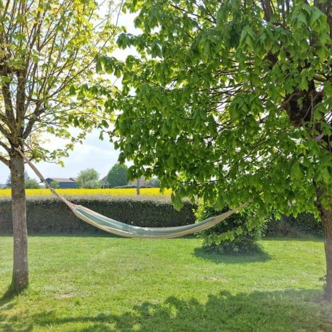Grande Maison De Plain Pied Avec Jardin Arbore. Champignelles Eksteriør billede