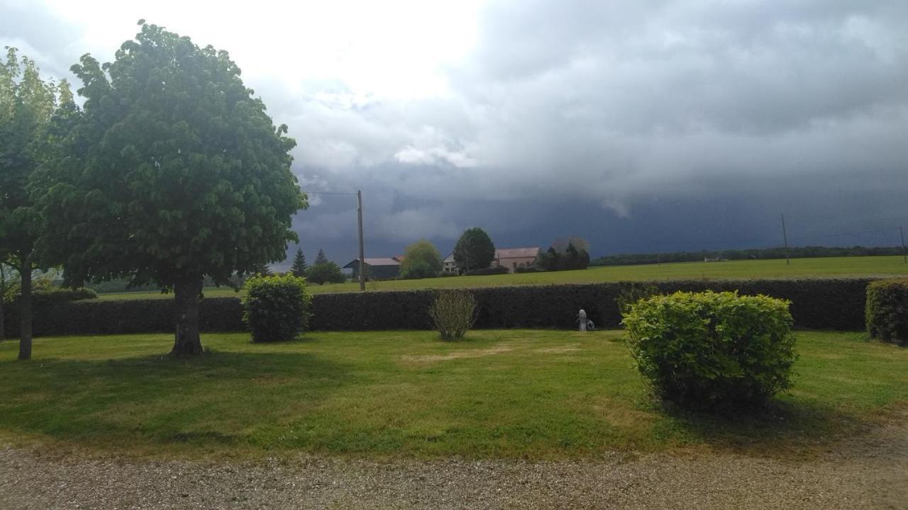 Grande Maison De Plain Pied Avec Jardin Arbore. Champignelles Eksteriør billede