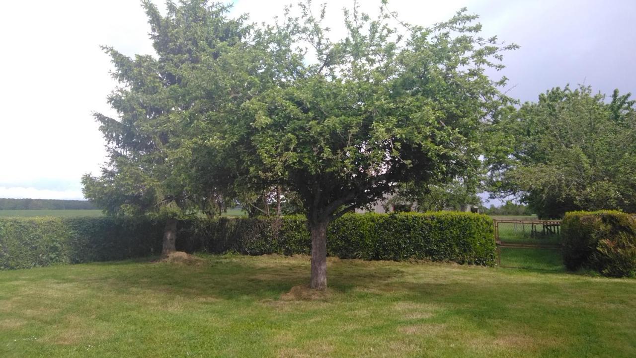 Grande Maison De Plain Pied Avec Jardin Arbore. Champignelles Eksteriør billede